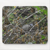 Busy Beaver Mousepad (Vorne)