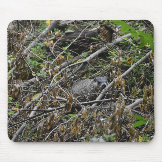 Busy Beaver Mousepad (Vorne)