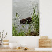 Busy Beaver Poster (Küche)