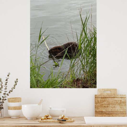 Busy Beaver Poster (Küche)