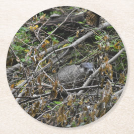 Busy Beaver Runder Pappuntersetzer