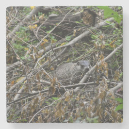 Busy Beaver Steinuntersetzer