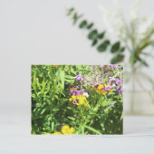 Busy Bee # 3 Postkarte (Stehend Vorderseite)