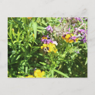 Busy Bee # 3 Postkarte
