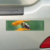 Busy Bee Autoaufkleber (Auf Auto)