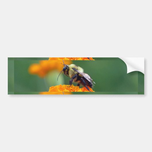 Busy Bee Autoaufkleber (Vorne)