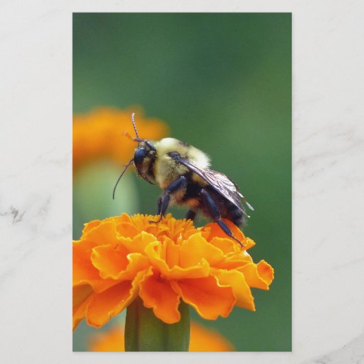 Busy Bee Briefpapier (Vorderseite)