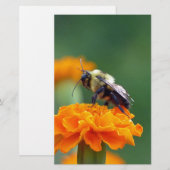 Busy Bee Briefpapier (Vorne/Hinten)