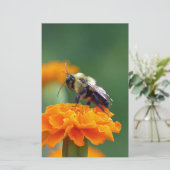 Busy Bee Briefpapier (Stehend Vorderseite)
