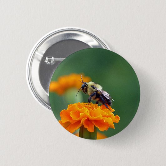 Busy Bee Button (Vorne & Hinten)