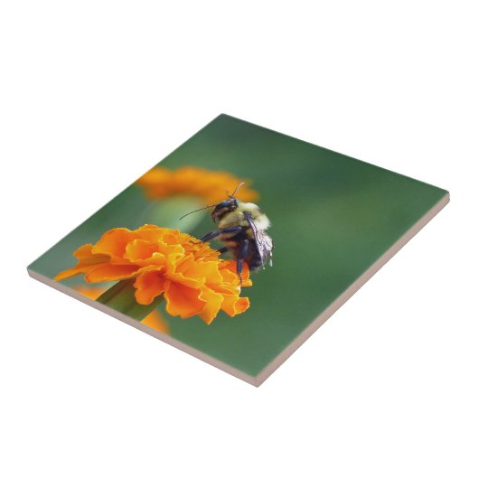 Busy Bee Fliese (Seite)