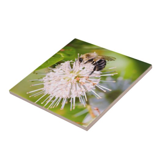 Busy Bee Fliese (Seite)