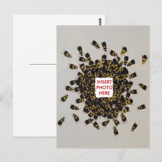 Busy Bee FOTO INSERT Postkarte (Vorne/Hinten)