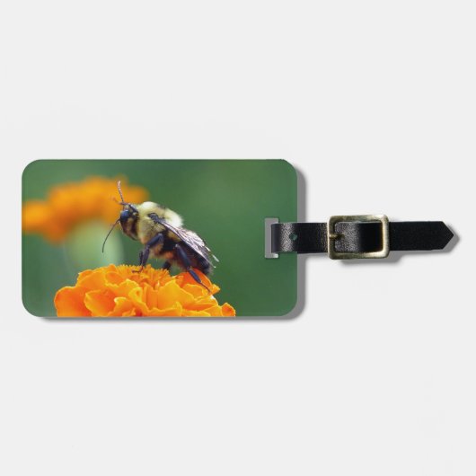 Busy Bee Gepäckanhänger (Vorderseite horizontal)