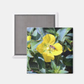 Busy Bee Magnet (Vorderseite/Rückseite)