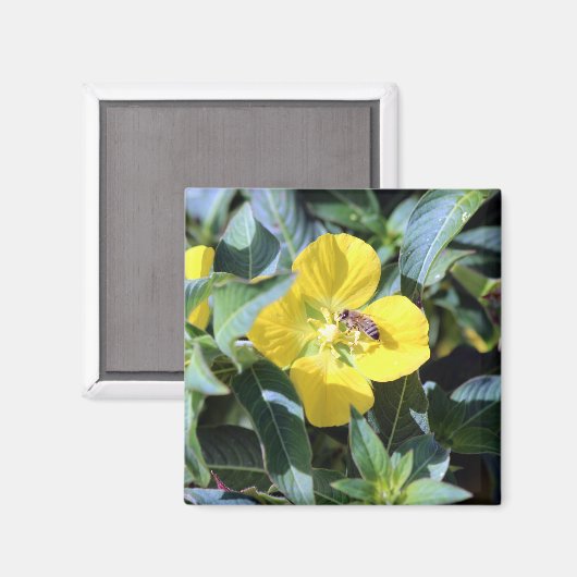 Busy Bee Magnet (Vorderseite/Rückseite)