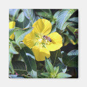 Busy Bee Magnet (Vorne)