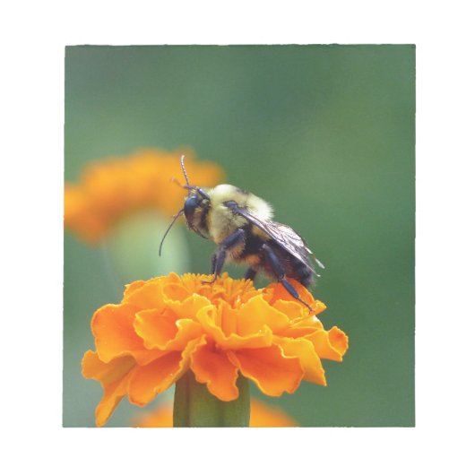 Busy Bee Notizblock (Vorderseite)