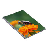 Busy Bee Notizblock (Rechte Seite)