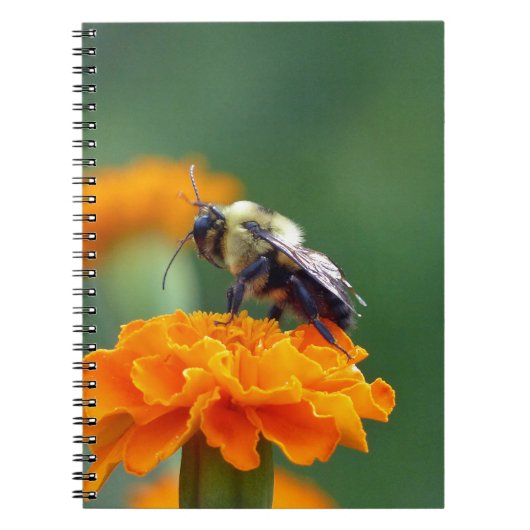 Busy Bee Notizblock (Vorderseite)