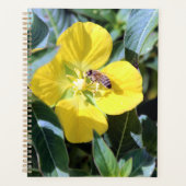 Busy Bee Planer (Vorderseite)