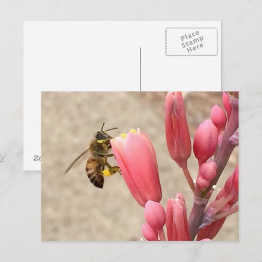 Busy Bee Postkarte (Vorne/Hinten)