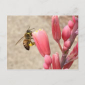 Busy Bee Postkarte (Vorderseite)