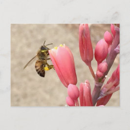 Busy Bee Postkarte