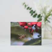 Busy Bee Postkarte (Stehend Vorderseite)