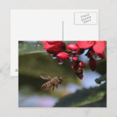 Busy Bee Postkarte (Vorne/Hinten)