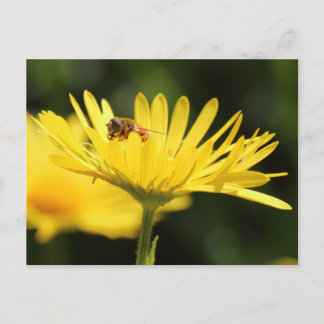 Busy Bee Postkarte