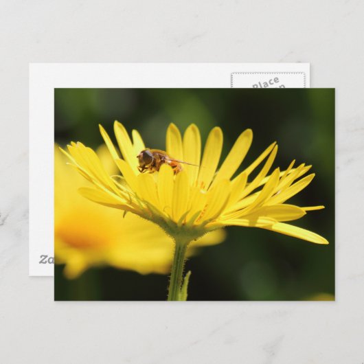 Busy Bee Postkarte (Vorne/Hinten)