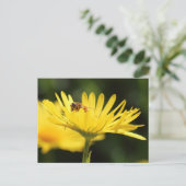 Busy Bee Postkarte (Stehend Vorderseite)