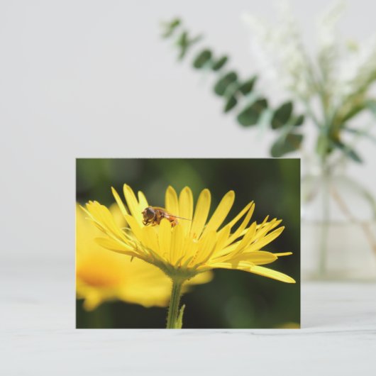 Busy Bee Postkarte (Stehend Vorderseite)