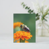 Busy Bee Postkarte (Stehend Vorderseite)