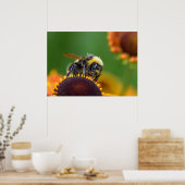 Busy Bumble Bee Poster (Küche)