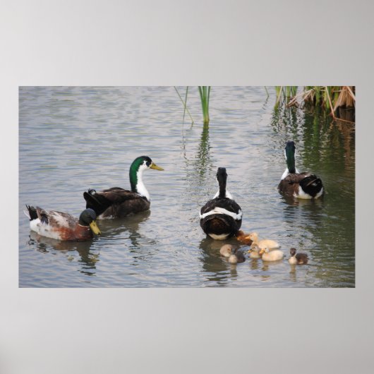 Busy Doin' Nothin' Poster (Vorne)