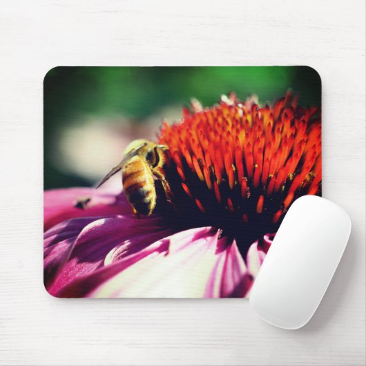 Busy Honey Bee Echinacea Blume Mousepad (Mit Mouse)
