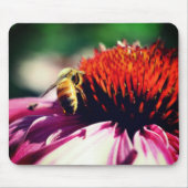 Busy Honey Bee Echinacea Blume Mousepad (Vorne)
