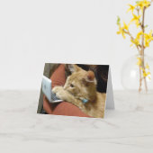 BUSY KITTY SAYS ***HAPPY BIRTHDAY** FÜR SIE KARTE (Gelbe Blume)