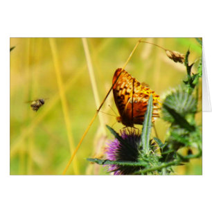 Busy Meadow