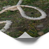 Busy Sheep Shearer Poster (Ecke)