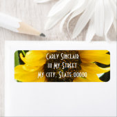 BusyBee_Akzented Edges (Insitu)