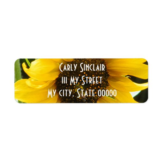 BusyBee_Akzented Edges (Vorne)