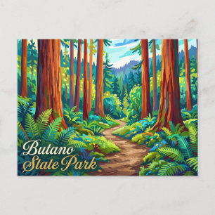 Butano State Park Kalifornien Postkarte