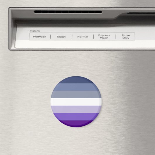 Butch Lesbian Pride Flag Magnet (In Situ (Geschirrspüler))