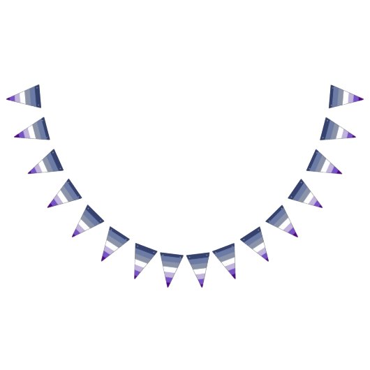 Butch Lesbian Pride Flag Wimpelkette (Alle)