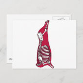 BUTCHER ANATOMY POSTKARTE (Vorne/Hinten)