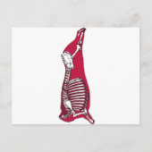 BUTCHER ANATOMY POSTKARTE (Vorderseite)
