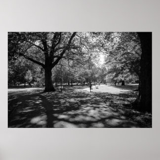 Bute Park an einem Sommernachmittag. Cardiff, Wale Poster